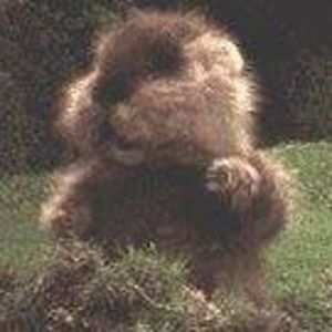 Meet your Posher, Gregory